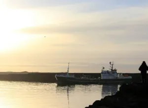 Cómo mejorar los criterios de certificación de pesca sostenible