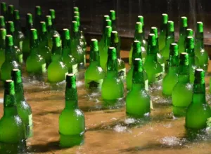 sidra