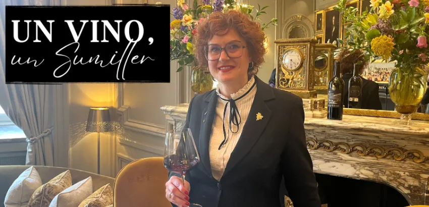 Un Vino, Un Sumiller: Ardalejos 2017 por Silvia García