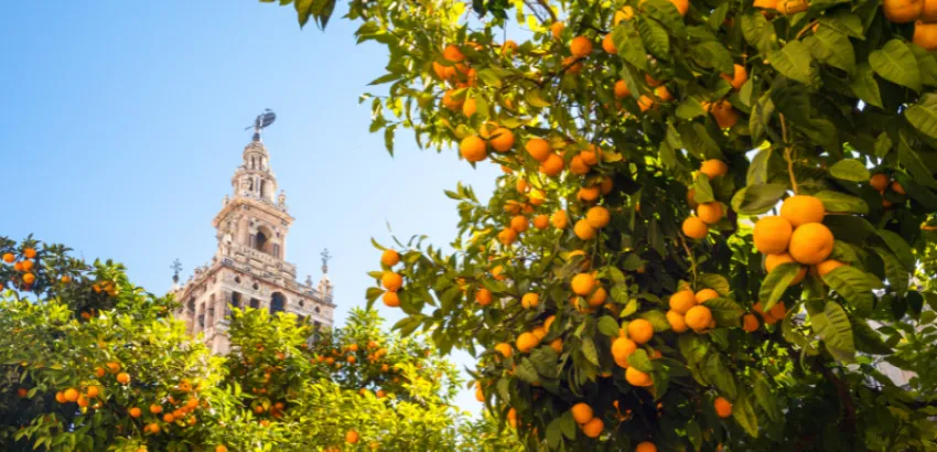 cordoba soletes guia repsol