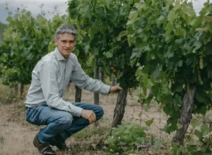 Gonzalo Bertelsen
