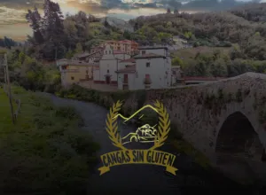 Cangas de Narcea