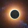 Eclipse solar y alimentación