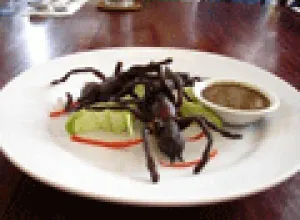 Los platos más exóticos del mundo