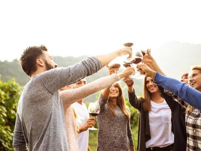El 20 de mayo llega el DÍA MOVIMIENTO VINO D.O.