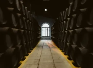 bodegas de Jerez