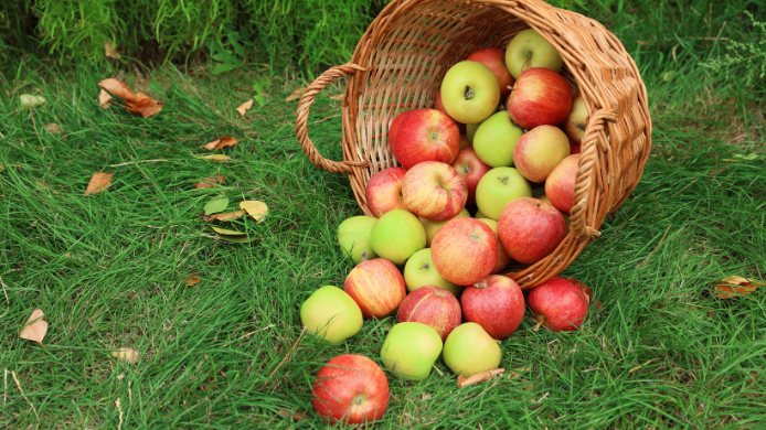 Cesta de manzana