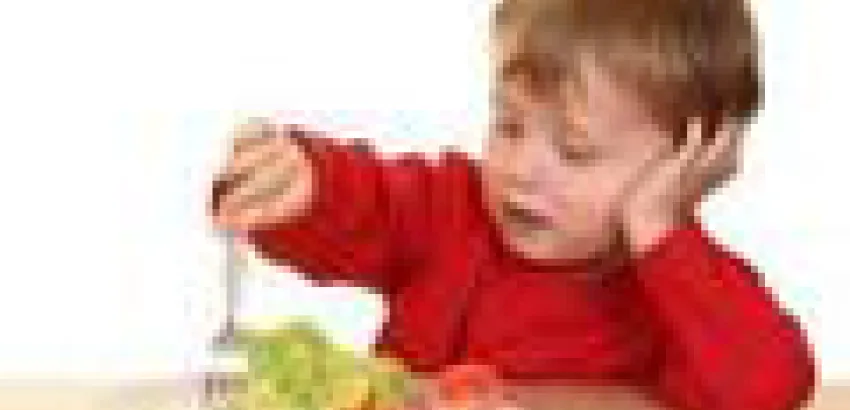 Mala alimentación puede perjudicar inteligencia de los niños Mala alimentación puede perjudicar inteligencia de los niños