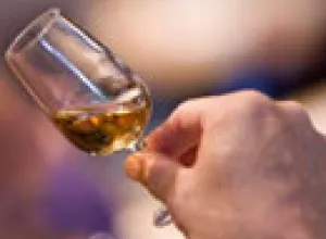 Whisky Festival 2009, desfile de placeres
