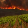incendios en Ourense