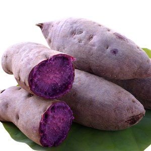 ube tuberculo filipinas