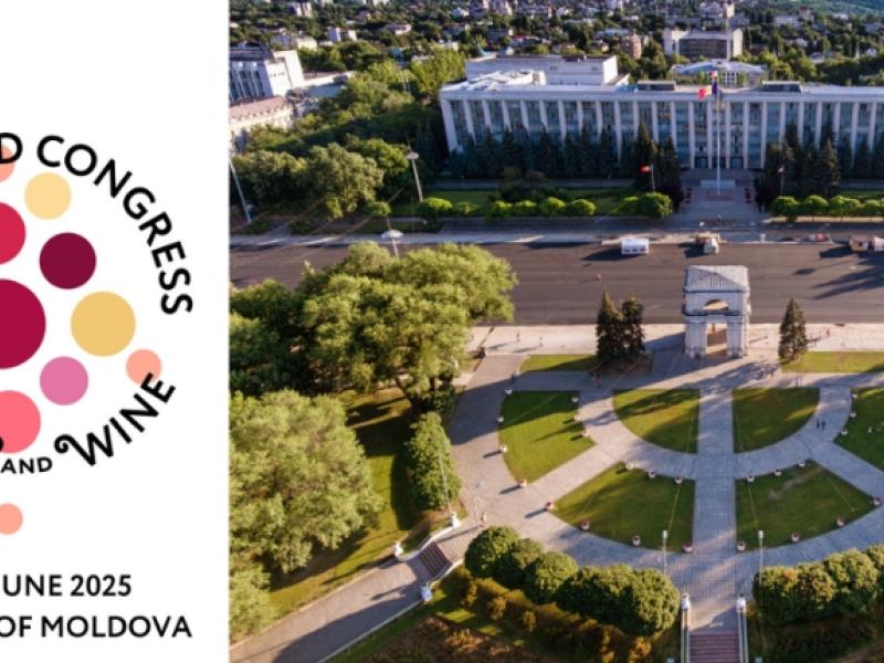 46 Congreso Internacional de la Viña y el Vino 