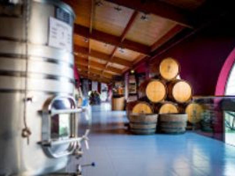 Las Bodegas de Grupo Matarromera ofrecerán actividades especiales por el Día Europeo del Enoturismo