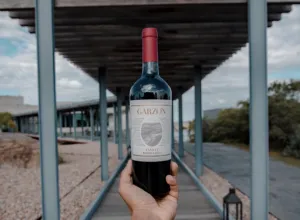 bodega garzón