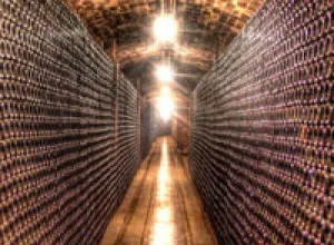 La «Larga Vida» de un vino