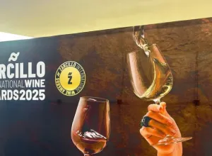 Castilla y León arrasa en los Premios Zarcillo 2025 con más del 55 % de los galardones