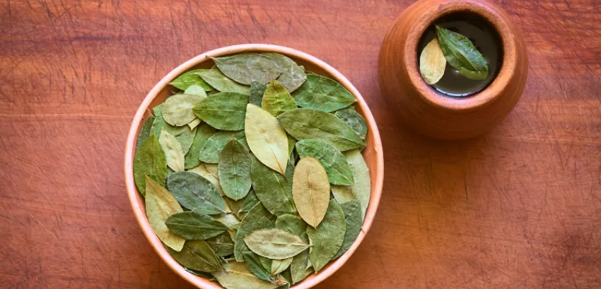 Mate de coca, infusiones para el mal de altura Mate de coca, infusiones para el mal de altura
