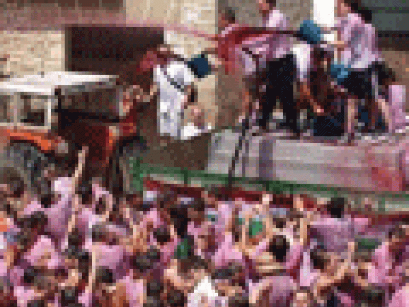 Más de 30 000 litros de vino empapan la «batalla del clarete» en La Rioja
