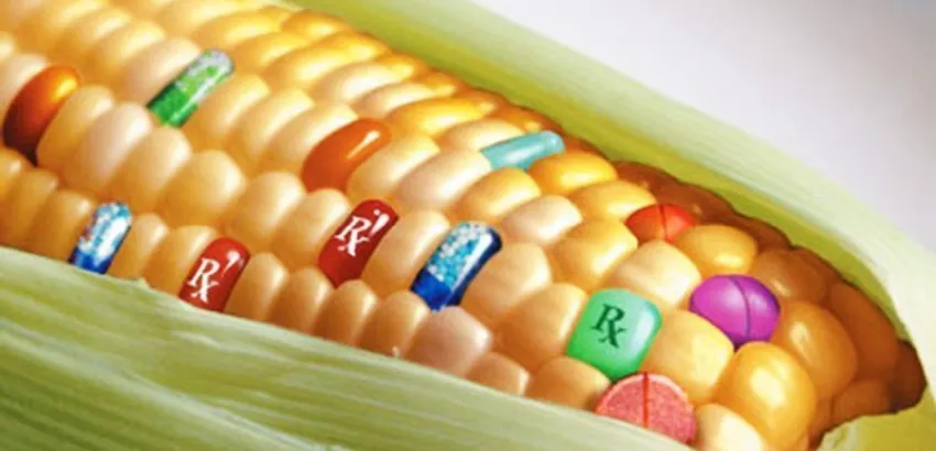 Cada 8 de abril se celebra el Día Internacional de Oposición a los Alimentos Transgénicos