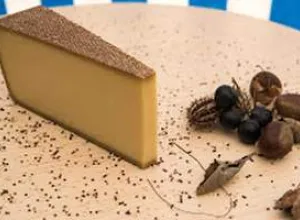 Un Gruyère d’alpage AOP, ganador de los Swiss Cheese Awards 2016
