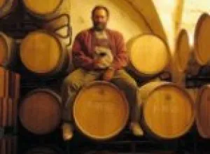Vinos escondidos en zonas poco reconocidas