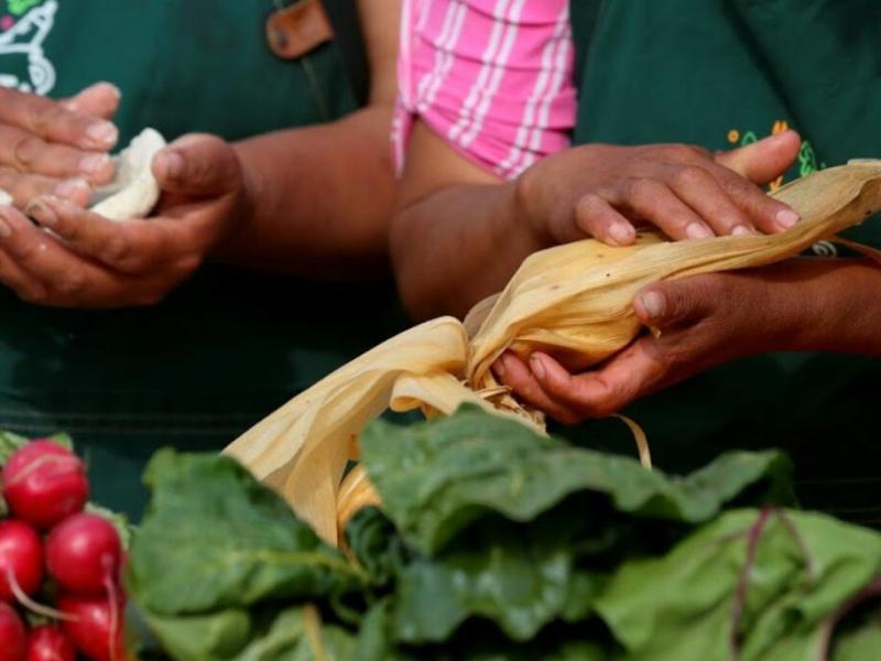 alimentación saludable