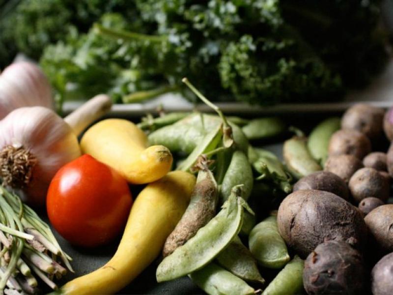 La Comisión Europea quiere construir una cadena de suministros alimentarios más justa