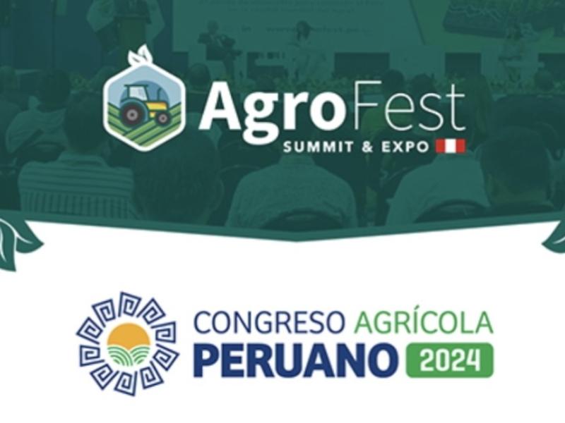 Summit & Fest