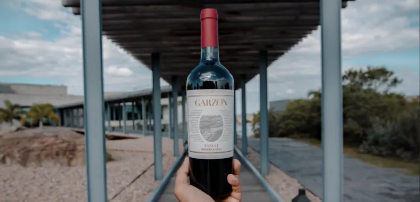 bodega garzón bodega garzón
