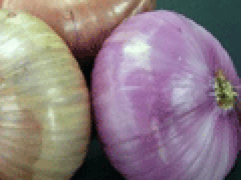 La cebolla contribuye a la conservación de los alimentos