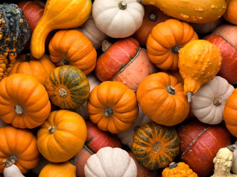 Alimentos de invierno-calabazas