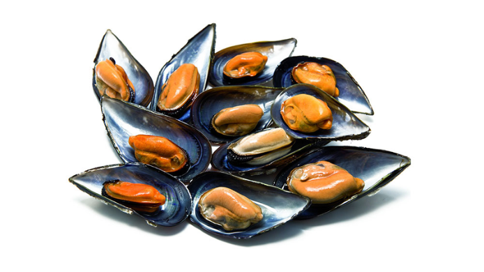 Mejillones gallegos abiertos y preparados para su degustación