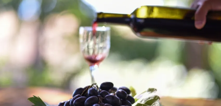 vino-organico