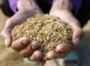 Europa: La crisis económica agravará aún más la situación del mercado alimentario