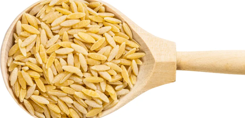 pastina-gastronomia-italiana pastina-gastronomia-italiana