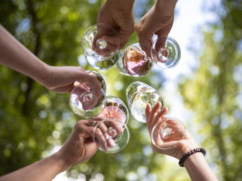 vinos españoles 
