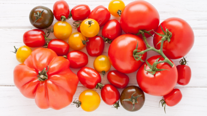 Variedad de tomates de diferentes tamaños, formas y colores sobre una superficie blanca, representando la riqueza de este ingrediente esencial de la cocina mediterránea y de las recetas veraniegas.