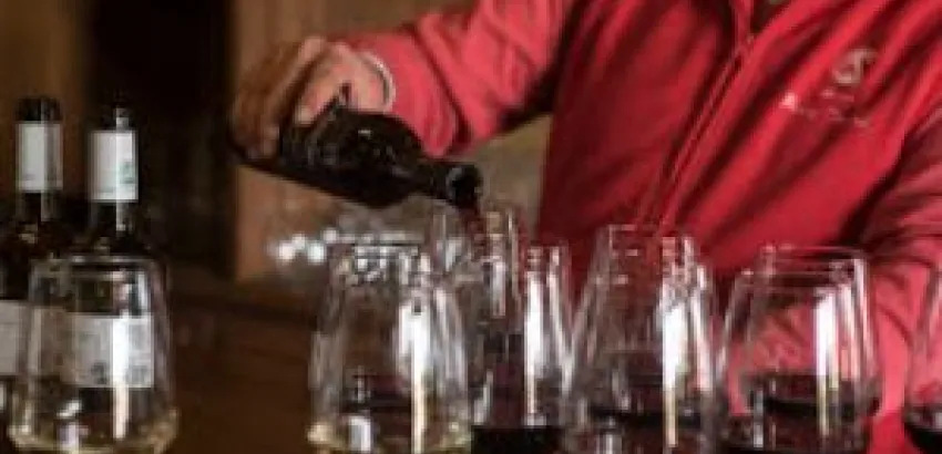 Magia y poesía: propuestas de Ribera del Guadiana en el Día Europeo del Enoturismo Magia y poesía: propuestas de Ribera del Guadiana en el Día Europeo del Enoturismo