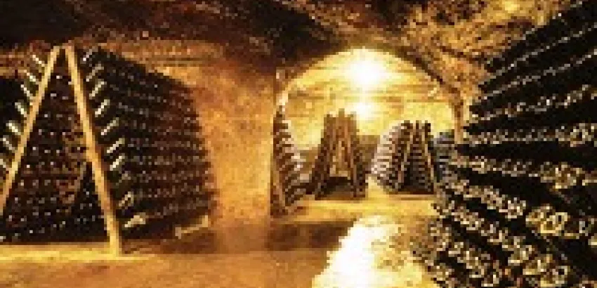 La «Larga Vida» de un vino La «Larga Vida» de un vino