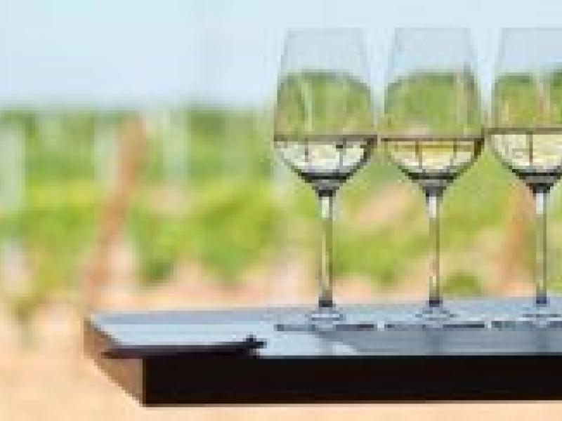 Semana Santa en la Ruta del Vino de Rueda: pasión para los sentidos