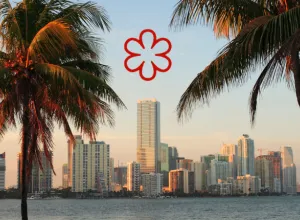 Miami brilla en la guía Michelin Florida 2025