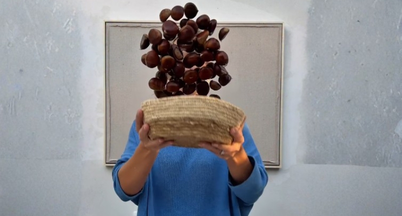 El Truco de Paufeel: Asar castañas en freidora de Aire Asar castañas en airfryer truco de paufeel