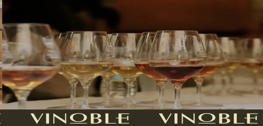 Vinoble Vinoble