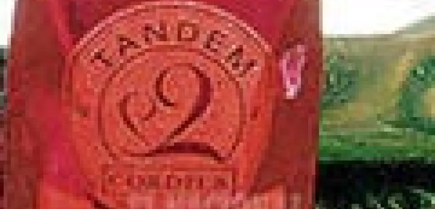 Bodega francesa lanza vinos de calidad en cajas de cartón Bodega francesa lanza vinos de calidad en cajas de cartón