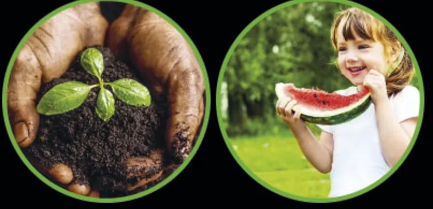 La nueva gastronomía saludable, solidaria, sostenible y satisfactoria La nueva gastronomía saludable, solidaria, sostenible y satisfactoria