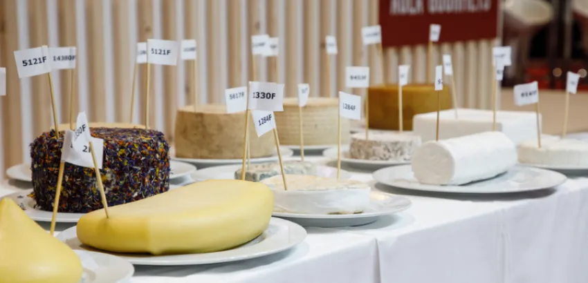 En el 15º Campeonato Gourmet Quesos participarán 880 quesos y 63 jueces campeonato gourmet quesos