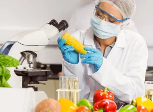 Turismo gastronomico 