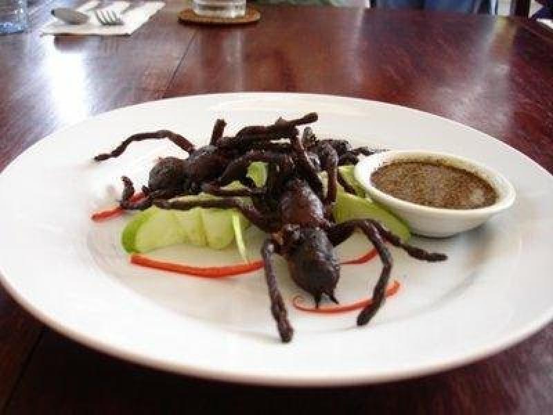 ¿Somos lo que comemos?