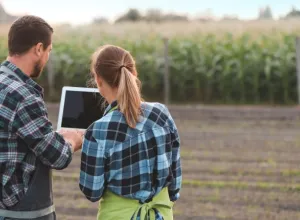 industria agroalimentaria 