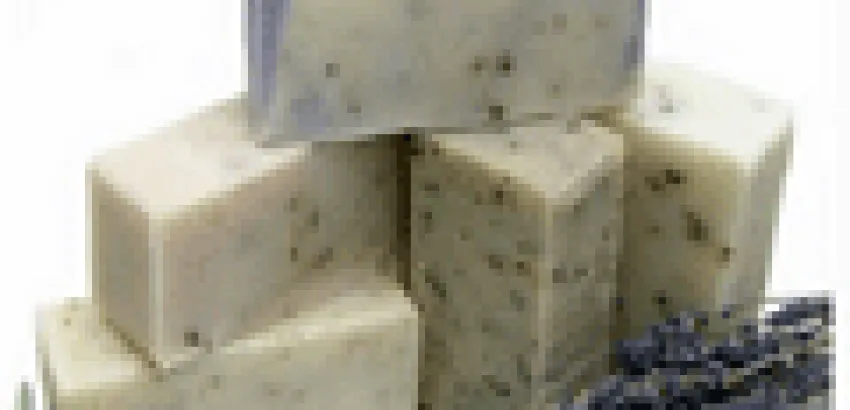 Fórmulas para reciclar el aceite de cocina Fórmulas para reciclar el aceite de cocina
